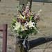 Shelly Gates Photo 17