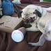 Stephanie Goins Photo 39