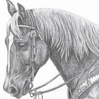 Mary Scanlan Photo 11