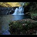 Dawn Crumpton Photo 5