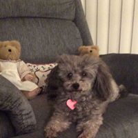 Lee Nichols Photo 22