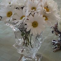 Rhonda Clemmons Photo 6