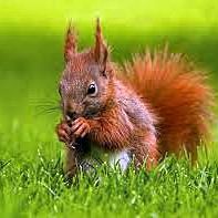 Anna Nowicki Photo 15