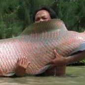 Gilbert Gan Photo 3