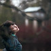 Alexander Kuzmin Photo 6