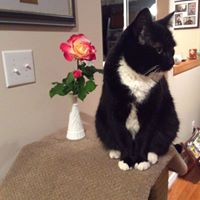 Rosemary Robbins Photo 17