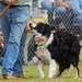 Donald Thomas Photo 23