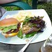 Debbie Sandlin Photo 24