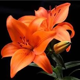 Margaret Cain Photo 14