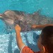 Debbie Garcia Photo 26