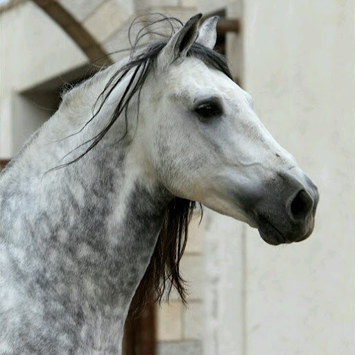 Chad Hammond Photo 40