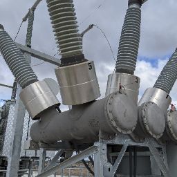 Steven Webb Photo 41