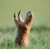 Sheryl White Photo 11