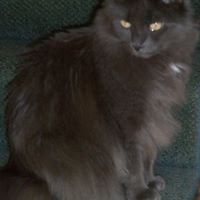 Gail Machado Photo 6