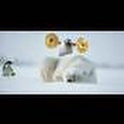 Marty Chapman Photo 8