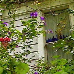 Constance Kim Photo 16