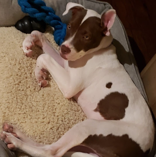 Alan Valdez Photo 16