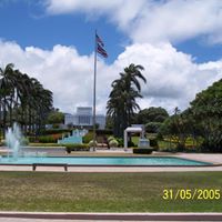 David Trout Photo 32