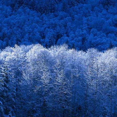 Martin Dyer Photo 20