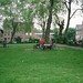 Robin Wilks Photo 17