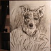 Lisa Riggs Photo 16