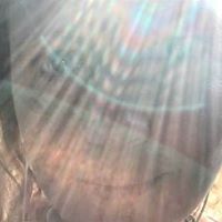 Tracey Busby Photo 17