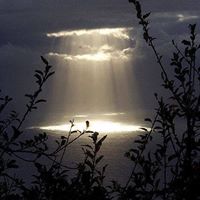 Cindy Wyman Photo 12