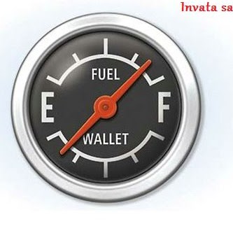 Steve Schuler Photo 30