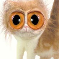 Barbara Baumann Photo 29