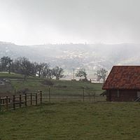 Elizabeth Bacon Photo 23 Elizabeth Bacon Photo 23