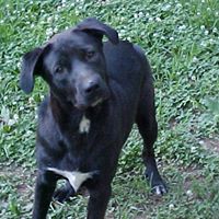 Ann Adams Photo 36