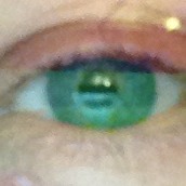 Douglas Austin Photo 46 Douglas Austin Photo 46