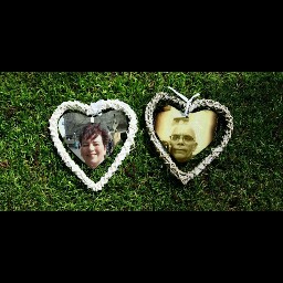 Donna Nicholson Photo 13