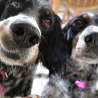 Scott Barton Photo 28