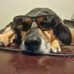 Matthew Mullins Photo 15