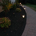 Debbie House Photo 24