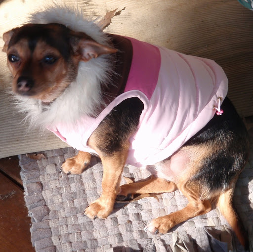 Susan Ledbetter Photo 6