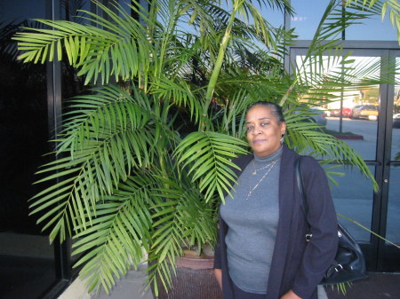 Joyce Murray Photo 24