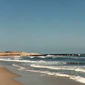 Jean Gorman Photo 11 Jean Gorman Photo 11