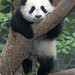 You Lin Photo 11