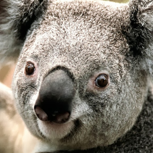 Steven Isaacs Photo 8