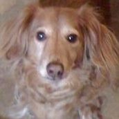 Karen Erickson Photo 19