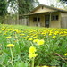 Colleen Mckee Photo 12