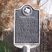 Mary Rodgers Photo 31