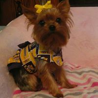 Stephanie Lejeune Photo 28