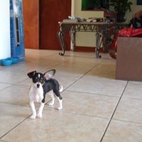 Cheryl Battle Photo 14