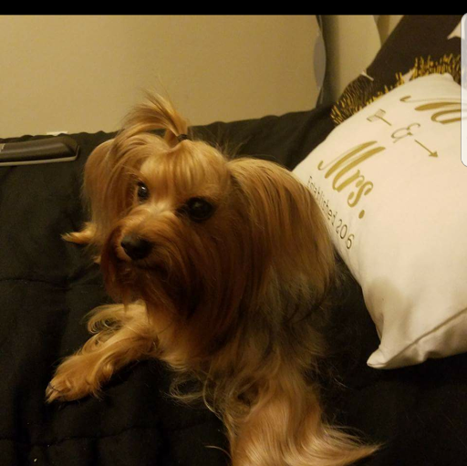 Aimee Acevedo Photo 8