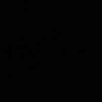 Patricia Hendricks Photo 3