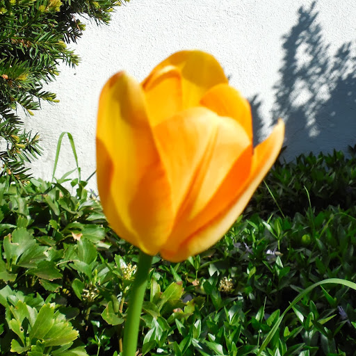 Mary Herbst Photo 42