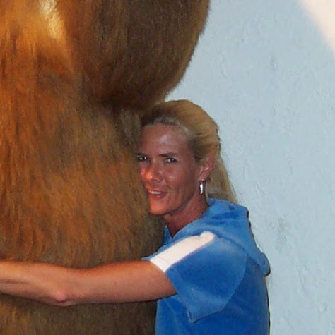 Susan Mccauley Photo 35